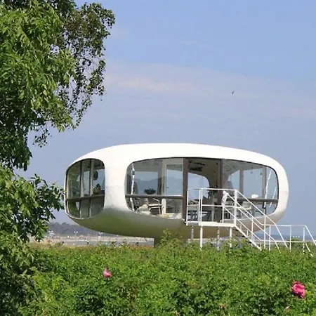 Hildegard Nr. 1